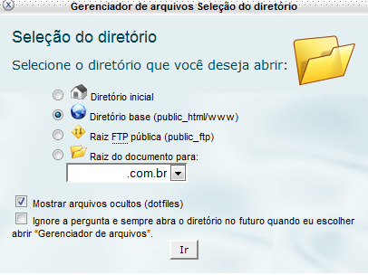 Como publicar/enviar o site pelo cPanel - LGV HOST