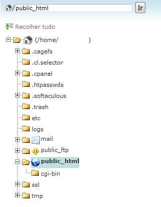 Como publicar/enviar o site pelo cPanel - LGV HOST